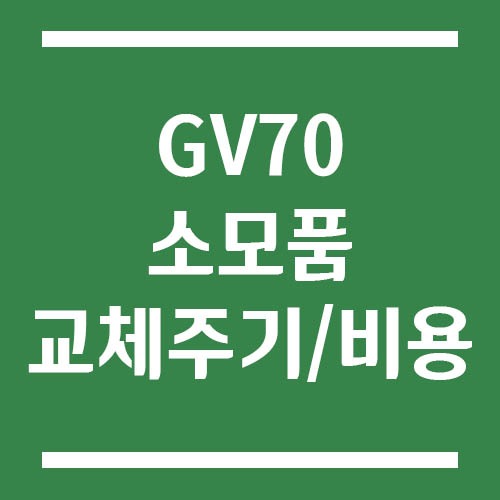 Read more about the article GV70 소모품 교체주기 및 비용