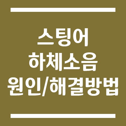 Read more about the article 스팅어 하체 소음 원인별 점검 포인트 및 해결 방법