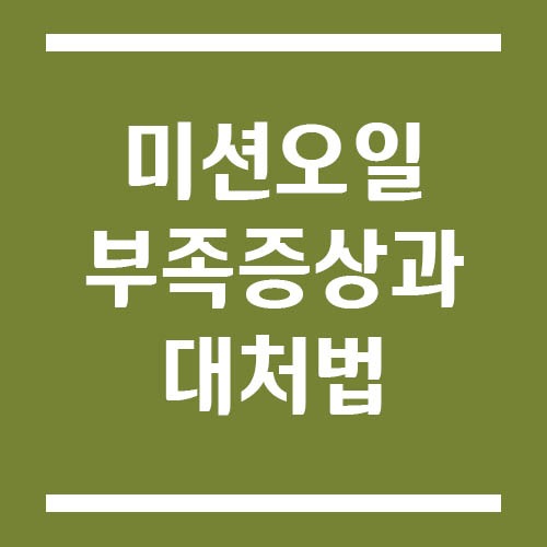 Read more about the article 미션오일 부족 증상과 대처법, 변속기 고장 전 꼭 확인하세요