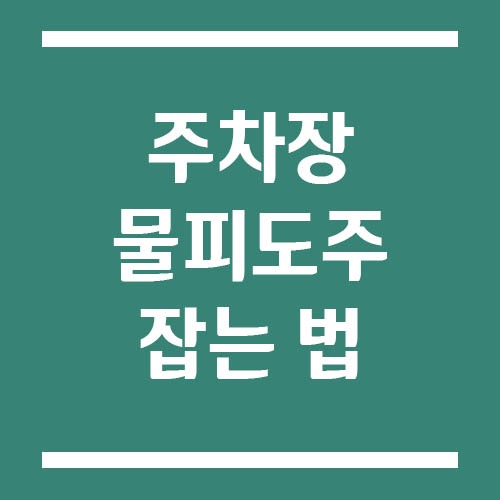 Read more about the article 아파트 주차장 물피도주 잡는 법, 블랙박스부터 보험 처리까지
