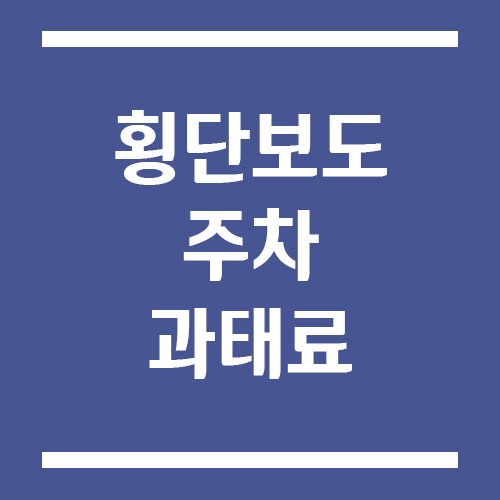 Read more about the article 횡단보도 주차 과태료 금액 및 기준