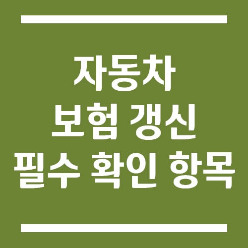 Read more about the article 자동차 보험 갱신 시 꼭 확인해야 할 항목