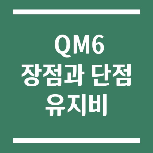Read more about the article 르노 QM6 장점과 단점 그리고 유지비