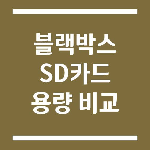 Read more about the article 블랙박스 SD카드 용량 몇 GB가 적당할까? 32GB, 64GB, 128GB 비교