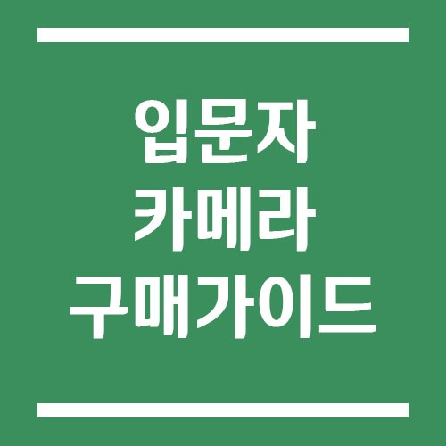 Read more about the article 입문자 미러리스 카메라 구매 가이드