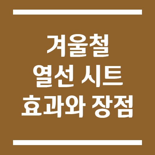 겨울철 필수품, 열선 시트 효과와 장점