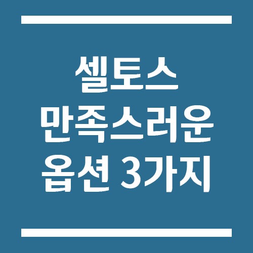 Read more about the article 셀토스 옵션 중 실제로 가장 만족스러운 기능 3가지
