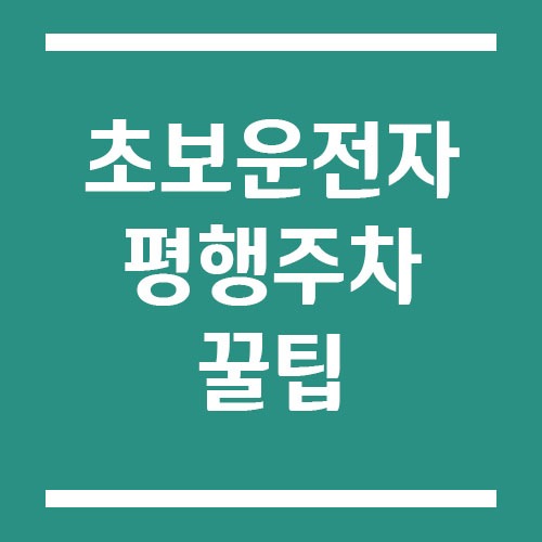 Read more about the article 초보 운전자를 위한 평행주차 꿀팁