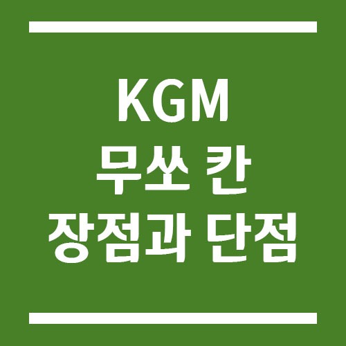 Read more about the article KGM 무쏘 칸 장점과 단점은?
