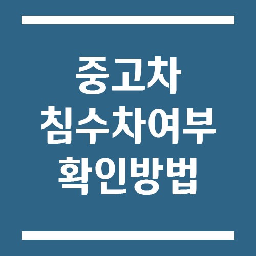 Read more about the article 중고차 살 때 침수차 여부 확인하는 가장 쉬운 방법