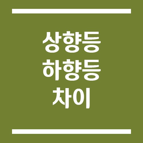 Read more about the article 상향등과 하향등의 차이, 야간 도로 운전 필수 팁!