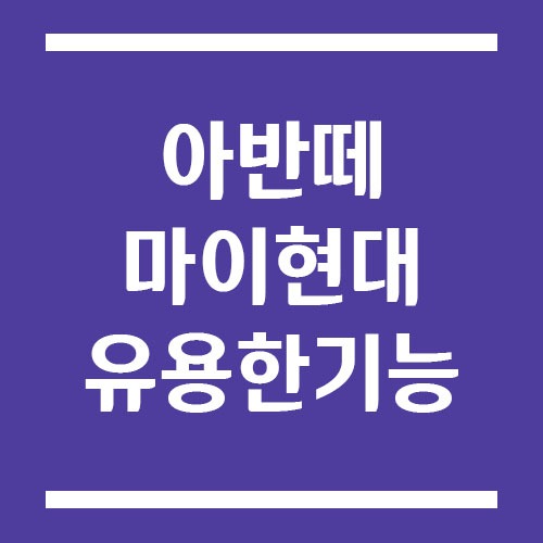 Read more about the article 아반떼 마이현대 유용한 기능 정리