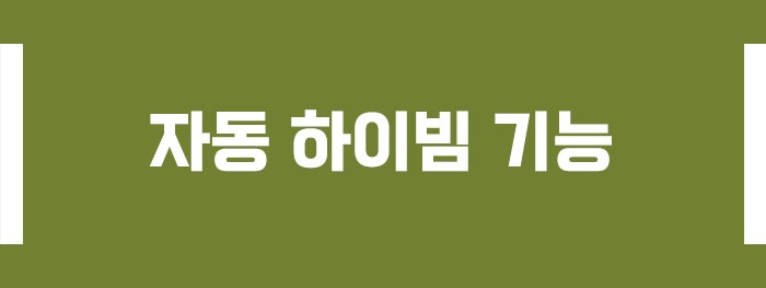 자동 하이빔 기능