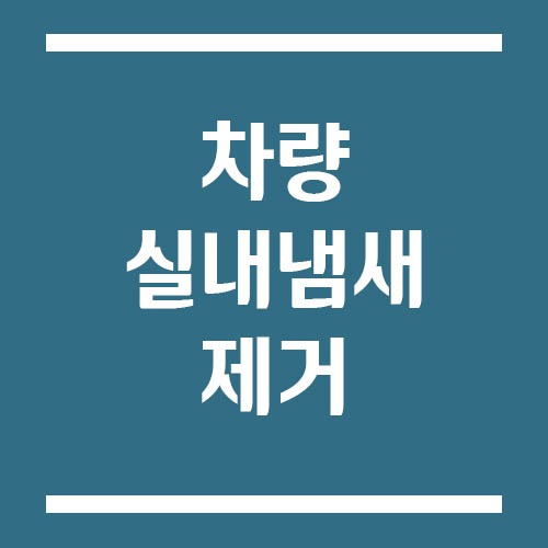 Read more about the article 차량 실내 냄새 쉽게 제거하는 방법