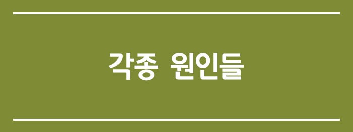 소나타 DN8 떨림 원인