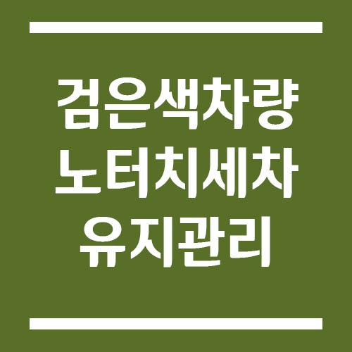 Read more about the article 검은색 차량 노터치세차 유지 관리 팁 | 스크래치 없이 광택 유지하기
