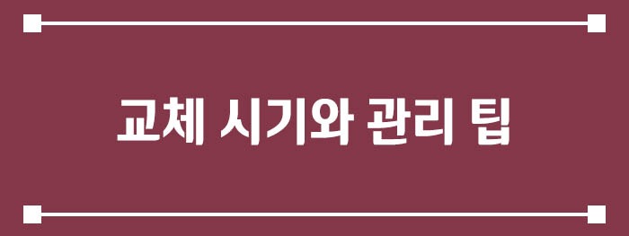 교체 시기와 관리 팁
