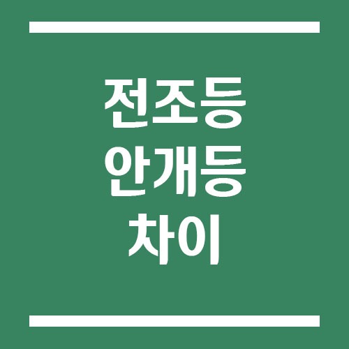 Read more about the article 전조등과 안개등 차이, 언제 어떻게 써야 할까?