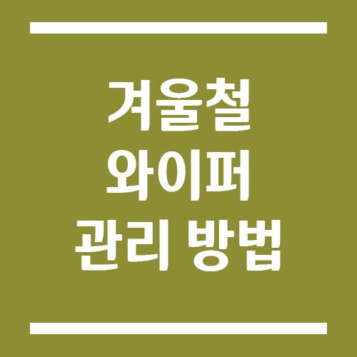 Read more about the article 겨울철 와이퍼 관리 방법, 성에 및 결빙 예방 팁