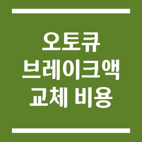 Read more about the article 기아 오토큐 브레이크액 교체 비용 (차종별 가격 비교)