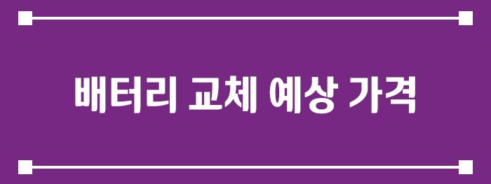 배터리 교체 예상 가격