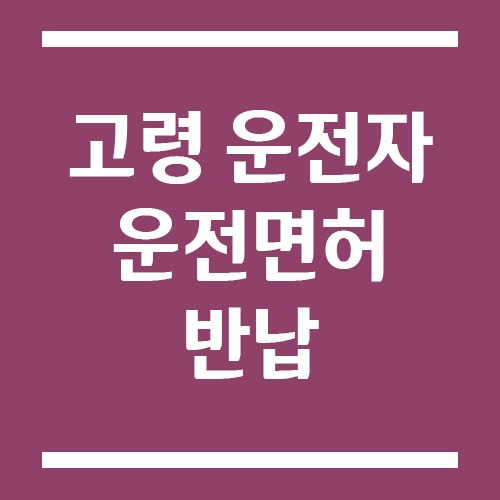 Read more about the article 고령 운전자 운전면허 반납 혜택, 신청 절차와 지원금까지 한눈에 알아봐요