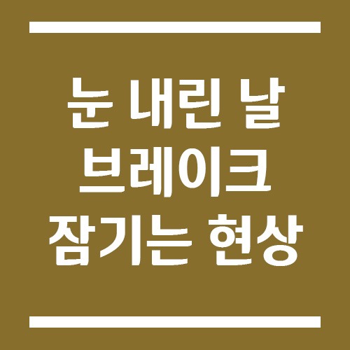 Read more about the article 눈길 브레이크 ‘드르륵’ 소리 정체, ABS 작동 시 올바른 대처법