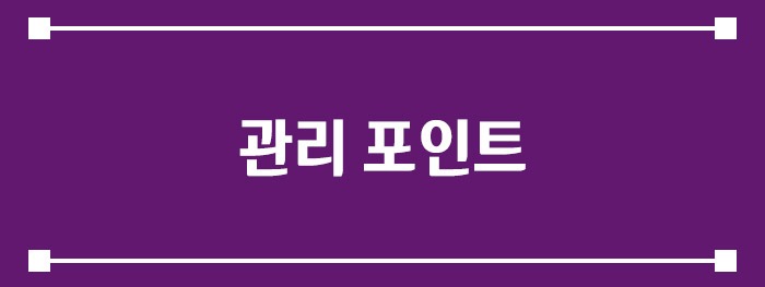 관리 포인트