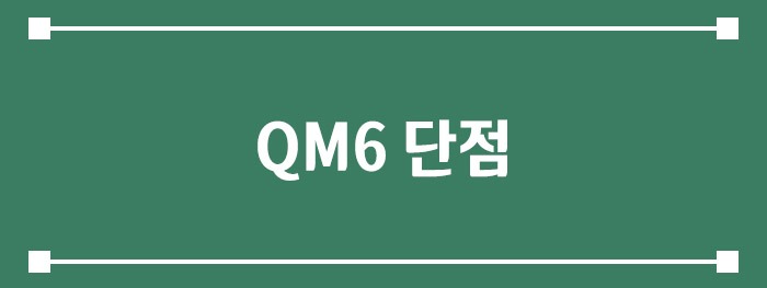QM6 단점